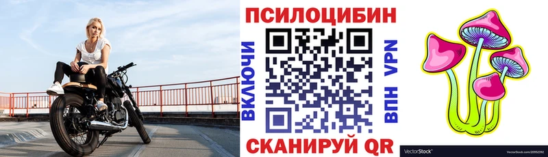 блэк спрут рабочий сайт  купить наркотики цена  Боровск  Галлюциногенные грибы мицелий 